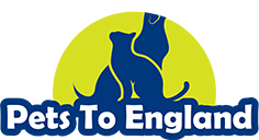 Pets To England