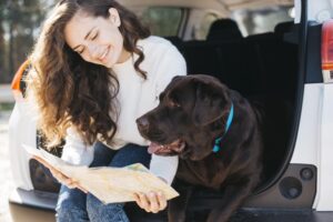 Pet Transportation Services